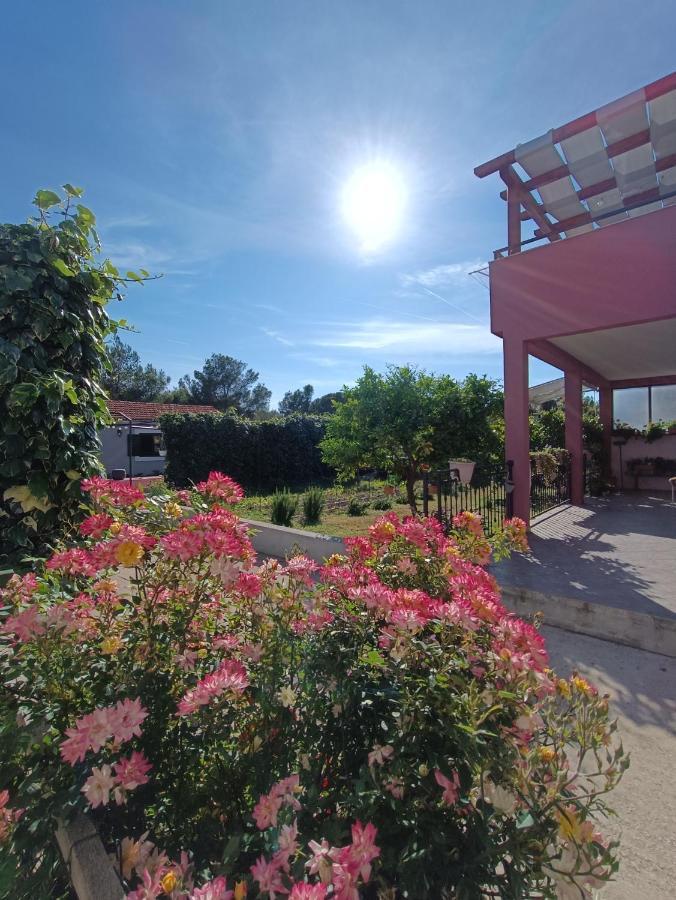 דירות ביוגראד נה מורו Apartman Brigita מראה חיצוני תמונה
