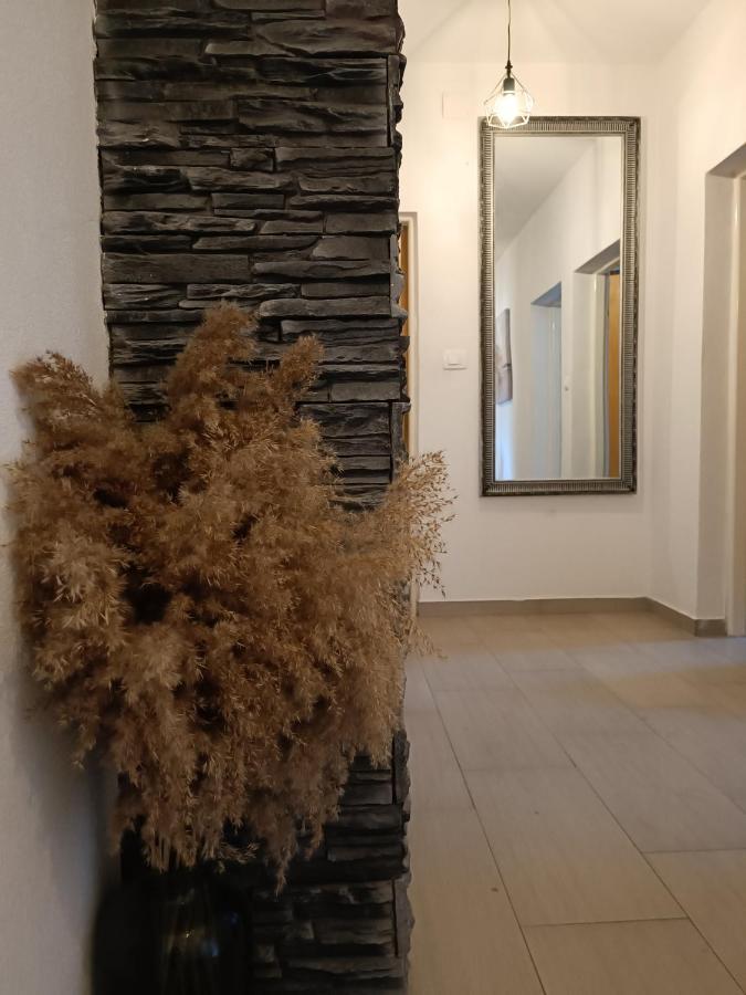 דירות ביוגראד נה מורו Apartman Brigita מראה חיצוני תמונה